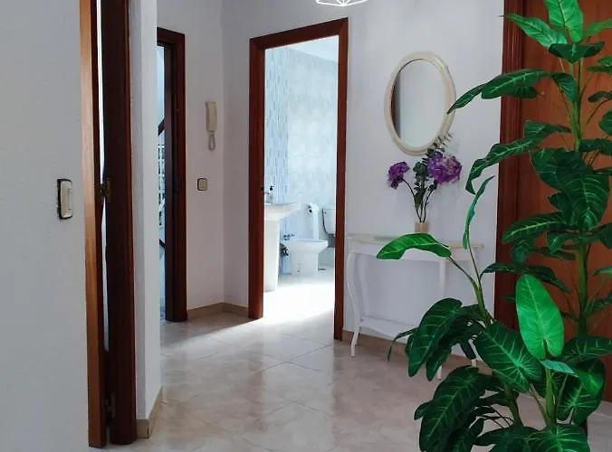 Soguer * Conil De La Frontera